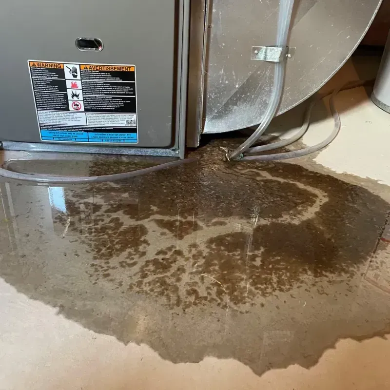 Appliance Leak Cleanup in Eagle River, AK